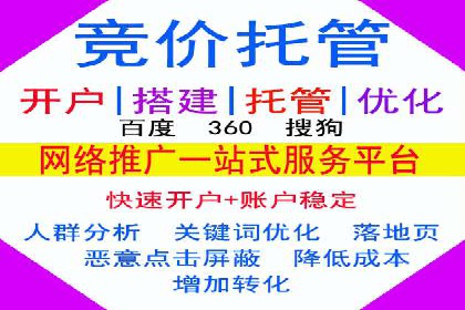 科技公司SEM外包战略的案例研究