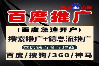 sem竞价托管代运营——广告优化的典范案例